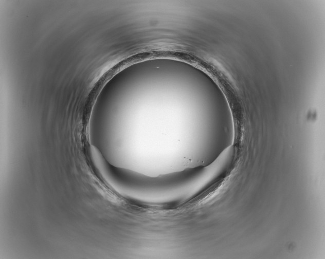 X0000092061065200709121350
