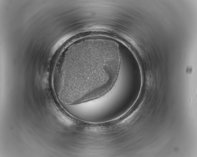 X0000092061066200709121350