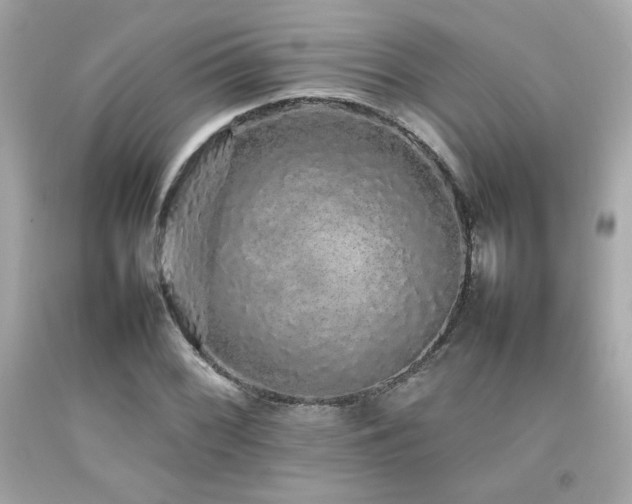 X0000092061068200709121350