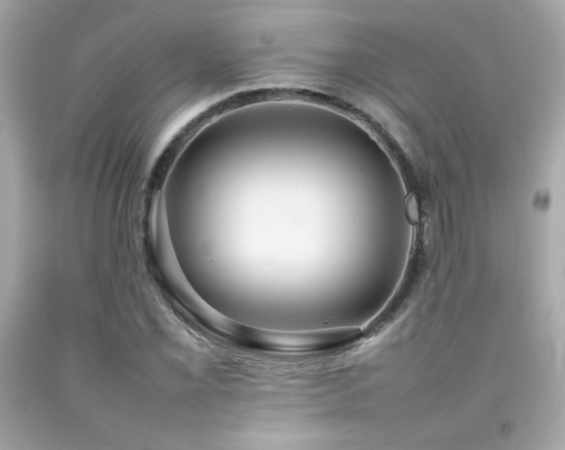 X0000092061069200709121350