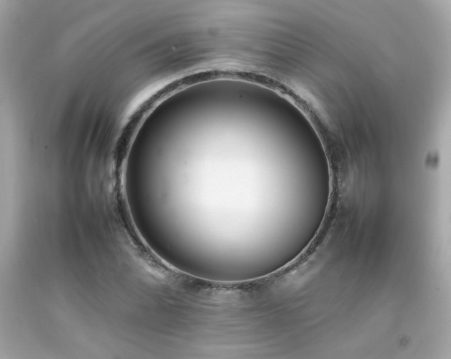 X0000092061070200709121350