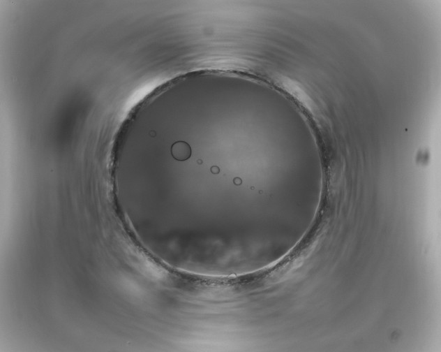 X0000092061071200709121350