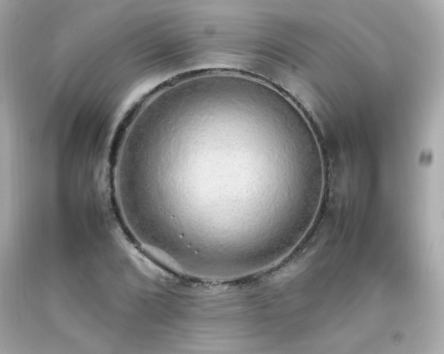X0000092061072200709121350