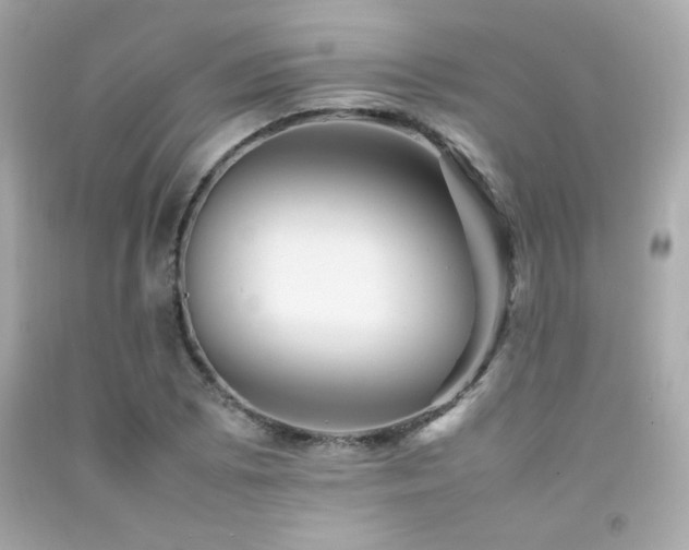 X0000092061073200709121350