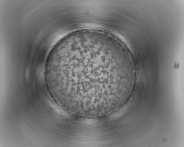 X0000092061074200709121350