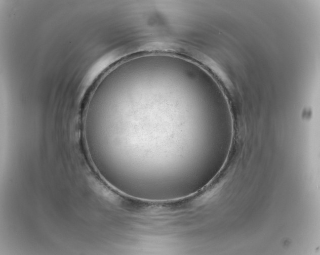 X0000092061075200709121350