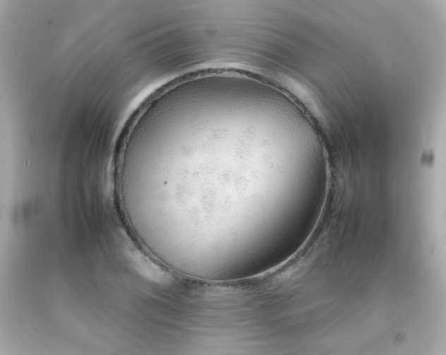 X0000092061076200709121350