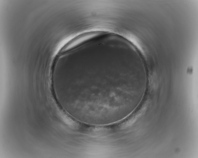 X0000092061077200709121350