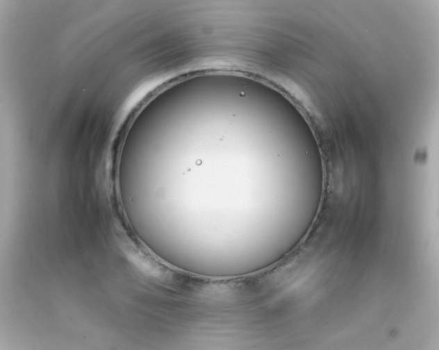 X0000092061078200709121350