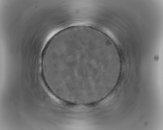 X0000092061079200709121350