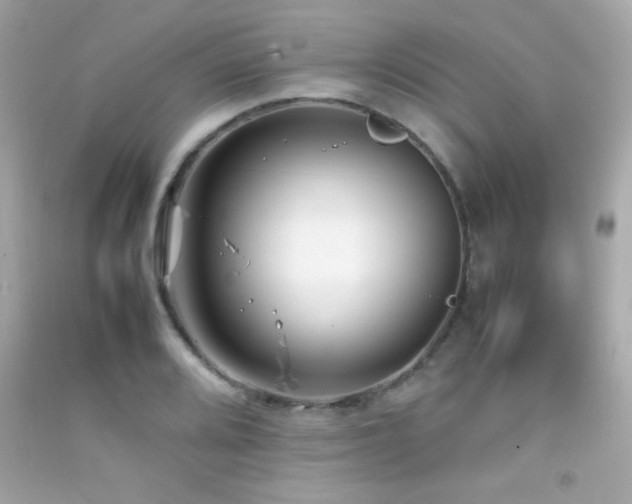 X0000092061080200709121350