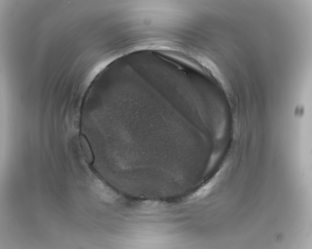 X0000092061081200709121350