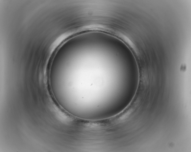 X0000092061082200709121350