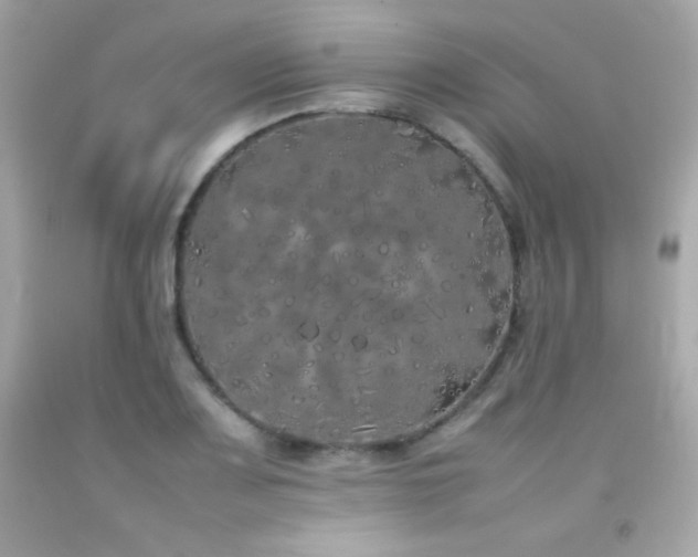 X0000092061083200709121350