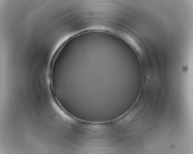 X0000092061084200709121350