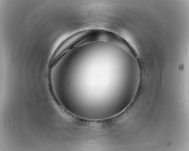 X0000092061085200709121350