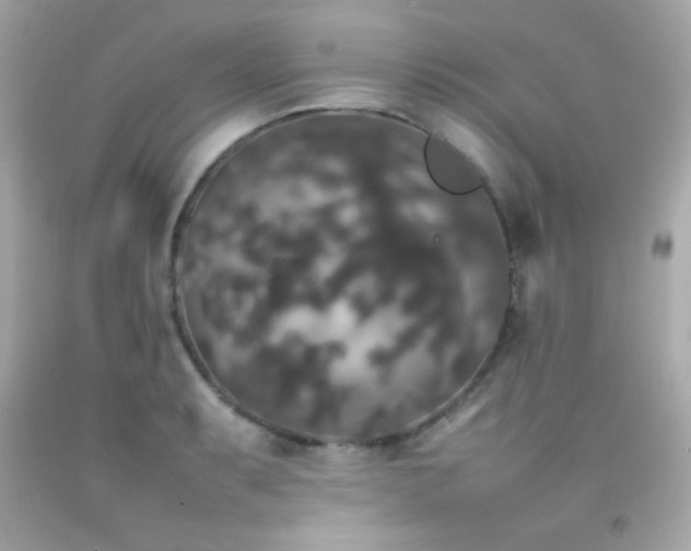 X0000092061087200709121350
