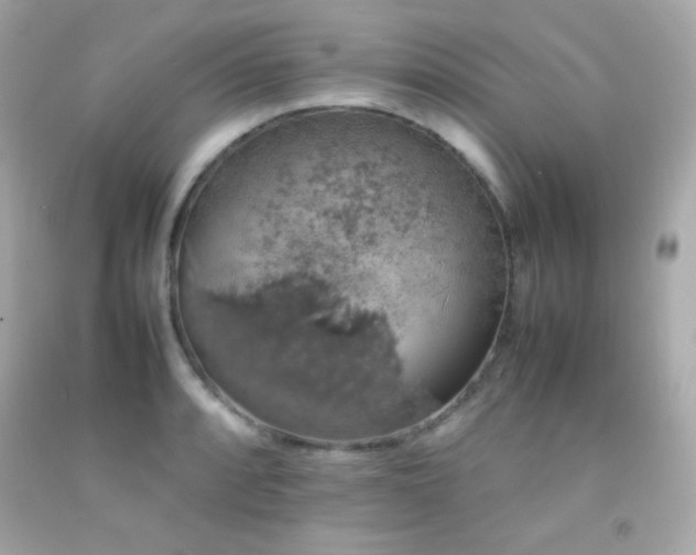 X0000092061088200709121350