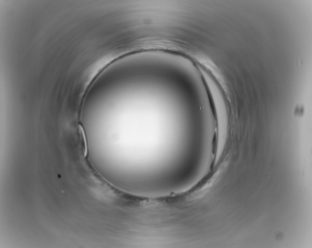 X0000092061089200709121350