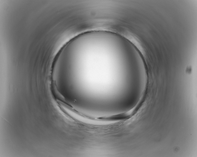 X0000092061093200709121349
