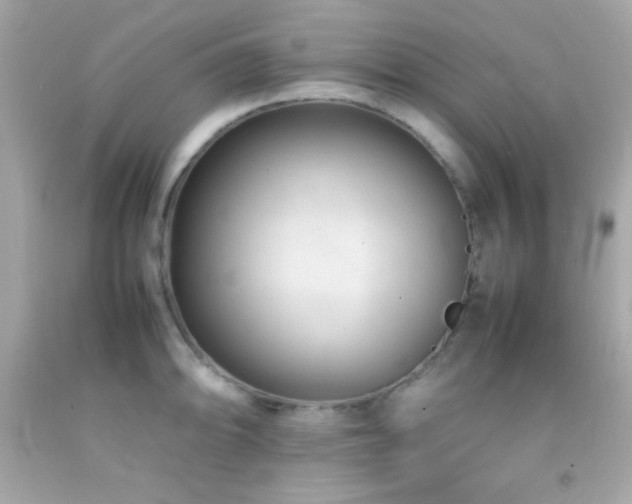 X0000092061094200709121349