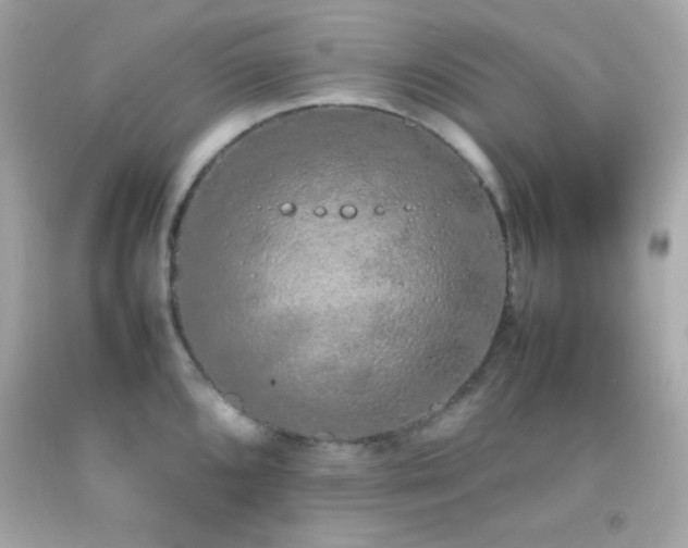 X0000092061096200709121349