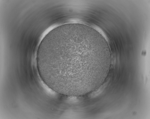 X0000092061098200709121349
