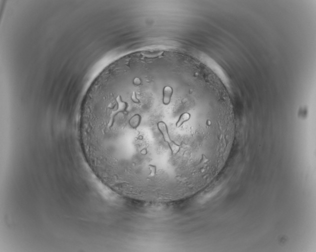 X0000092061099200709121349