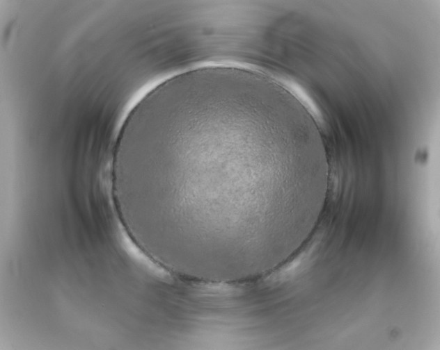 X0000092061100200709121349