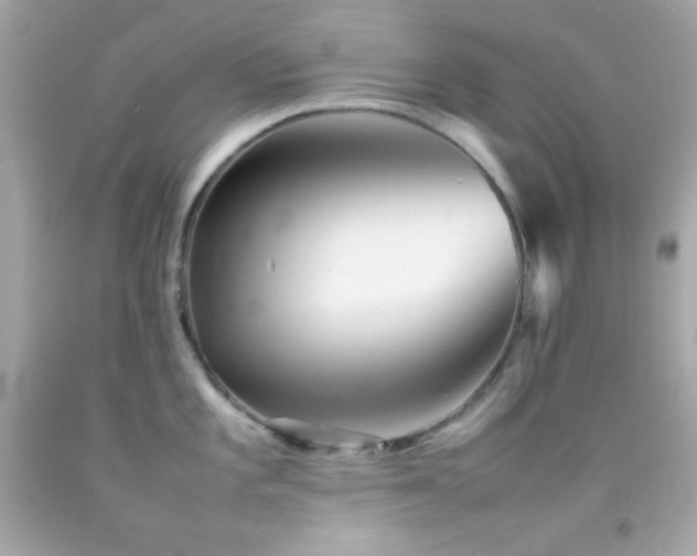 X0000092061101200709121349