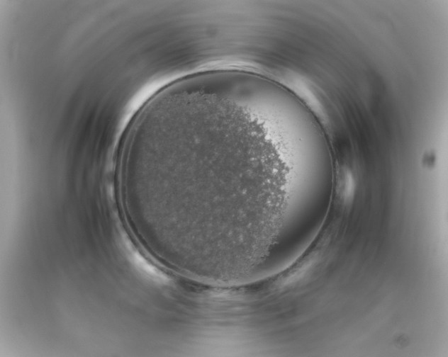 X0000092061102200709121349