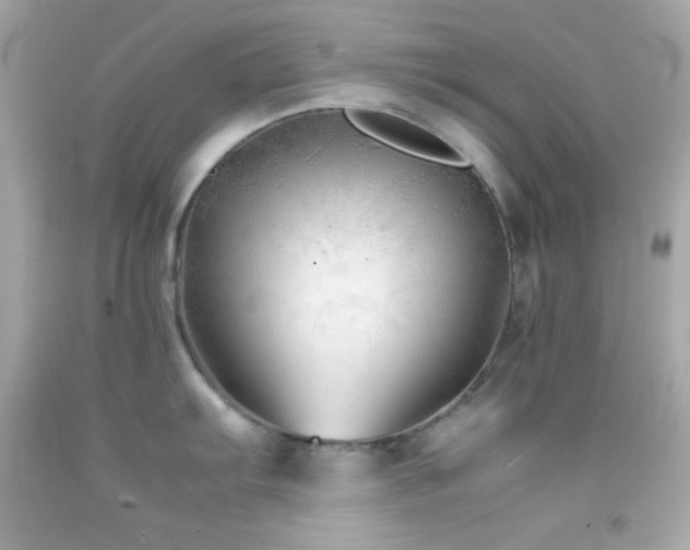 X0000092061103200709121349