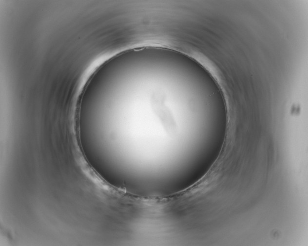 X0000092061104200709121349