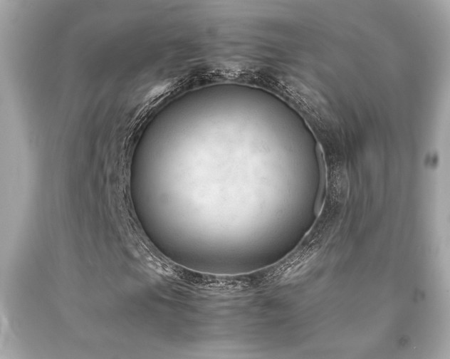 X0000092061105200709121349