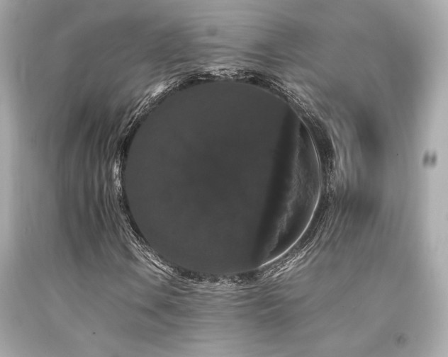 X0000092061106200709121349