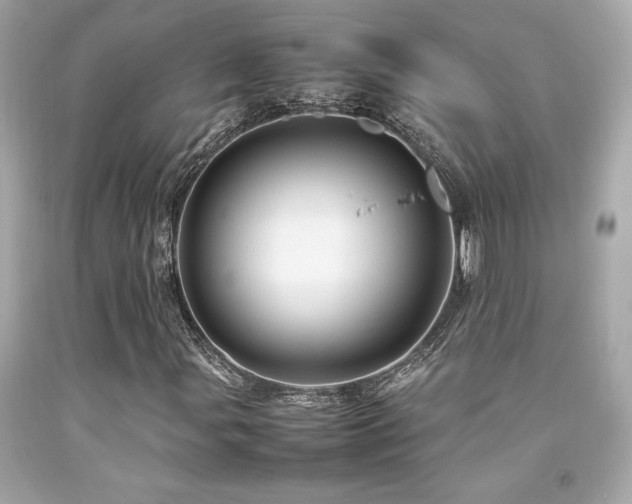 X0000092061107200709121349