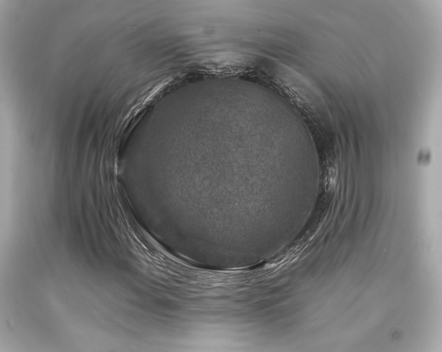 X0000092061108200709121349