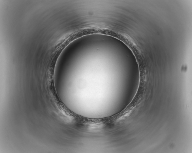 X0000092061110200709121349