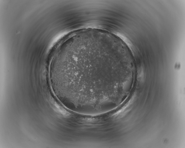 X0000092061115200709121349