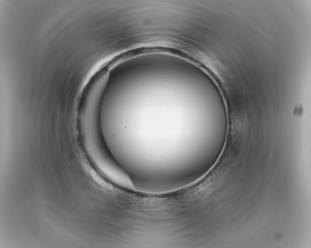 X0000092061116200709121349