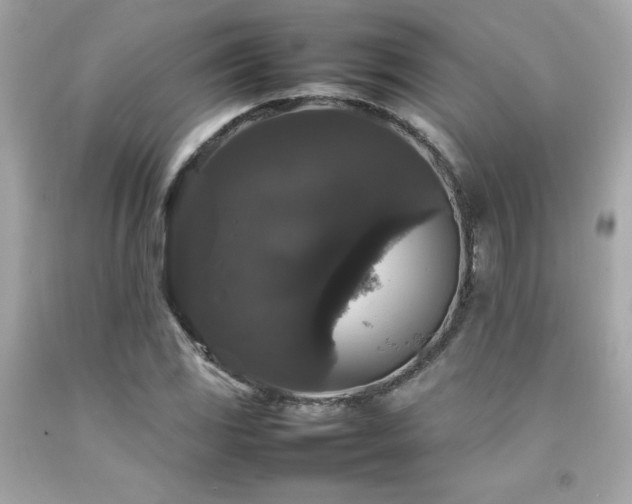 X0000092061117200709121349