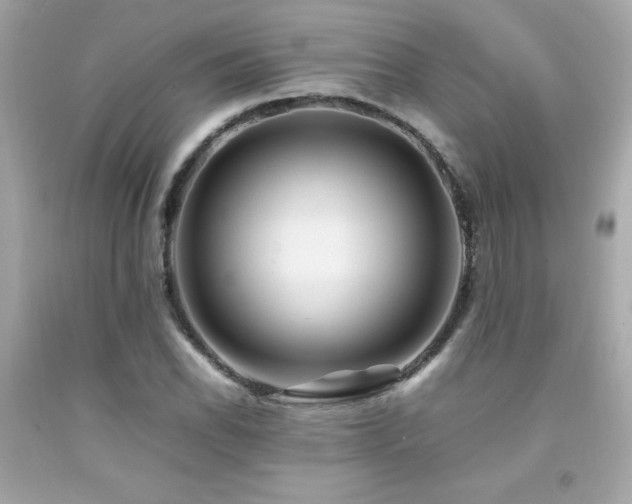X0000092061118200709121349