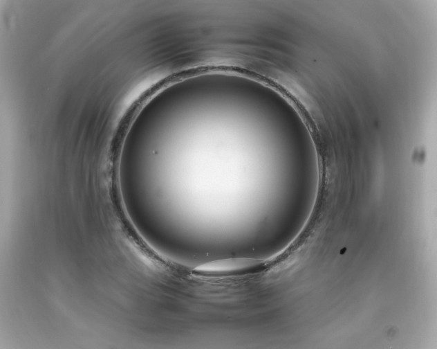 X0000092061119200709121349