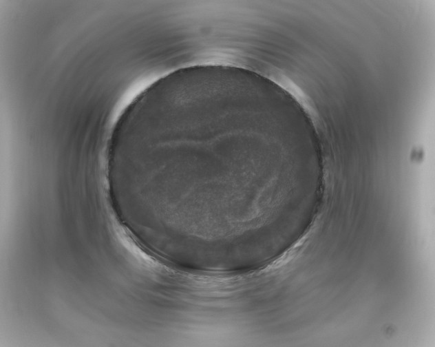 X0000092061120200709121349