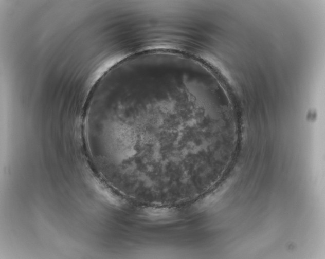 X0000092061121200709121349