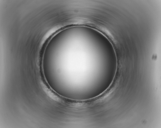 X0000092061122200709121349