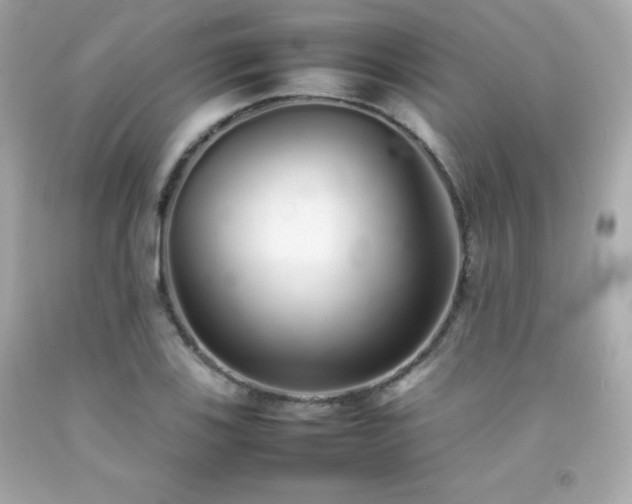 X0000092061123200709121349
