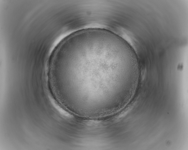 X0000092061124200709121349