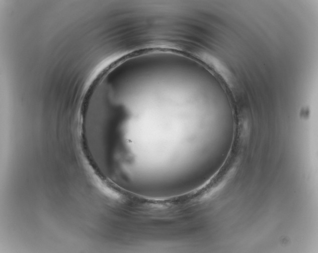 X0000092061125200709121349
