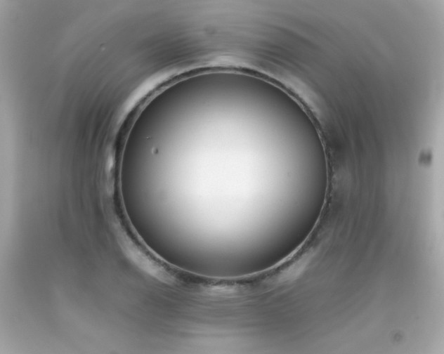 X0000092061126200709121349